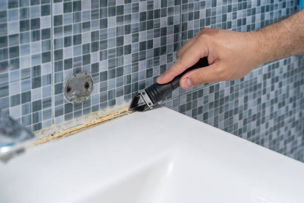Best Basement Mold Remediation in Tysons, VA
