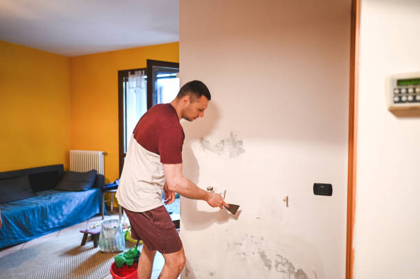 Best Localized Mold Remediation (e.g., coastal areas, humid climates) in Tysons, VA