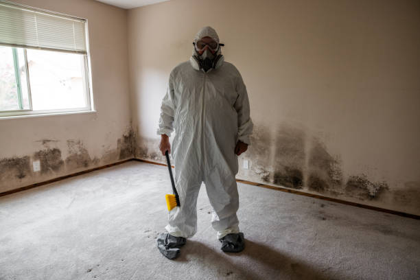 Trusted Tysons, VA Mold Remediation Experts